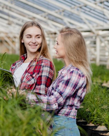 În sere, când alegi 35% vs 70% ecranare, în funcție de cultură și orientarea solariului?
